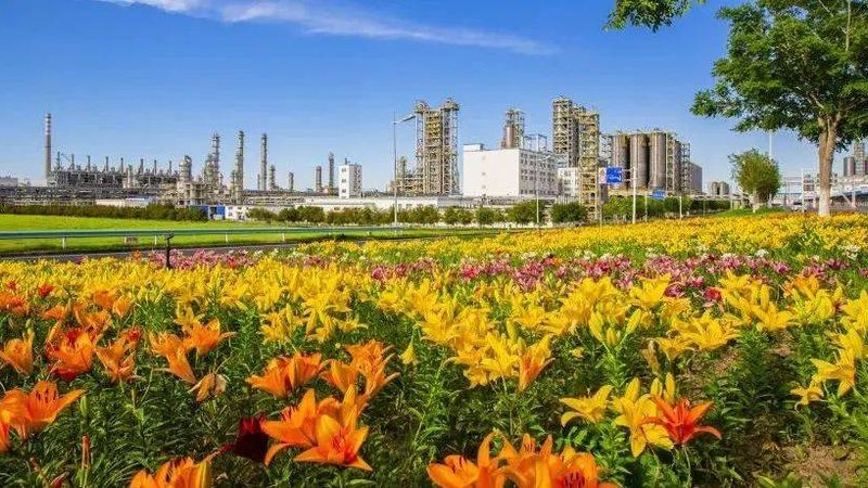 有机溶剂，你了解多少？揭秘广东有机溶剂报价与选购要点**