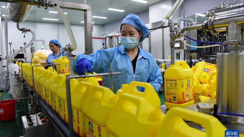 复合材料防水与卷材：性能对比与选择要点