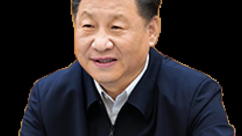 工业添加剂：揭秘最新报价背后的关键因素**